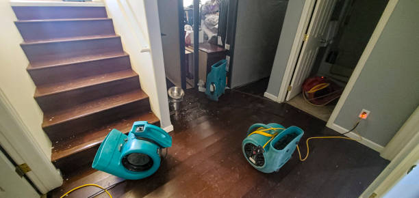 Best 24/7 water damage repair  in Mcguire Af, NJ