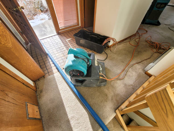 Best Ceiling water damage repair  in Mcguire Af, NJ