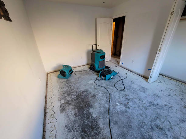 Best Flood restoration services  in Mcguire Af, NJ