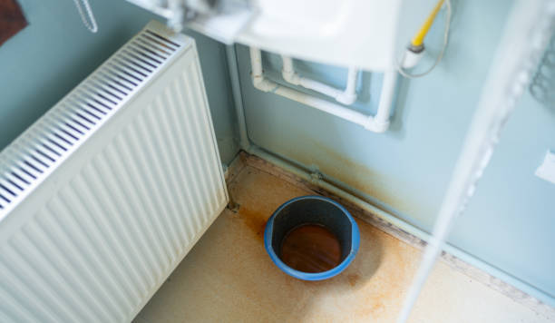 Best Mold removal after water damage  in Mcguire Af, NJ