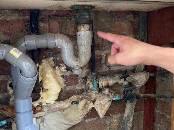 Best Water damage restoration experts  in Mcguire Af, NJ