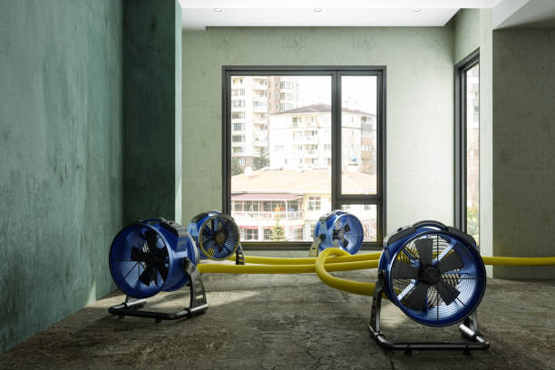 Best 24/7 water damage repair  in Mcguire Af, NJ